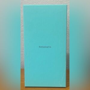 Large Tiffany & Co. Turquoise Gift Box